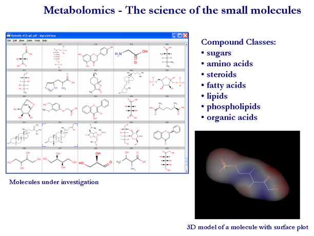 cheminformatics meets metabolomics